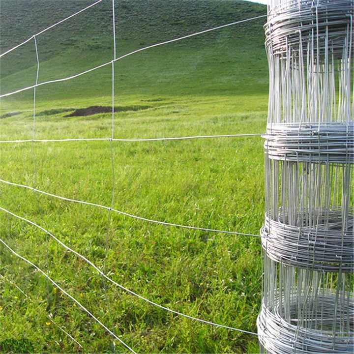 High-Quality Galvanized Field Fence (Deer Fence)